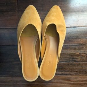 Everlane v-mule shoes in mustard suede